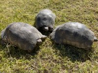 IMG_5961.jpeg