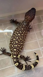 IMG_3434.jpeg