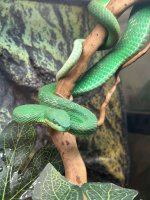 IMG_3441.jpeg