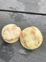 IMG_7892.jpeg
