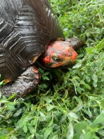 IMG_7247.jpeg