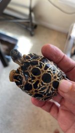thumbnail_IMG_1011.jpg