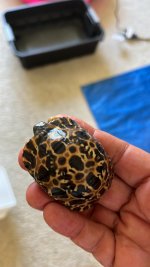 thumbnail_IMG_1012.jpg