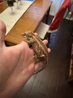 IMG_3391.jpeg