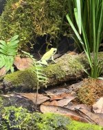 IMG_2215.jpeg