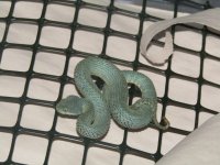IMG_0867.jpeg