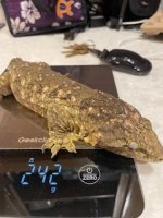 IMG_2413.jpeg