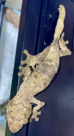 IMG_7988.jpeg