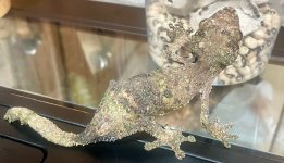 IMG_7983.jpeg
