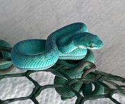 IMG_0653.jpeg