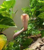 IMG_0657.jpeg