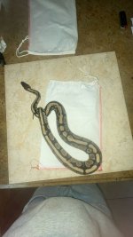 IMG_0777.jpeg