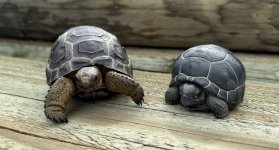 Aldabra figurine 2.jpg
