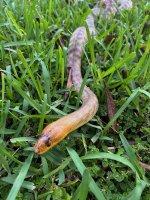 IMG_8544.jpeg