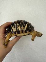 IMG_1478.jpeg