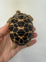 IMG_1473.jpeg