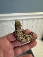 IMG_0886.jpeg