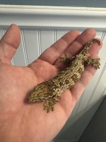 IMG_0825.jpeg