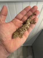 IMG_0824.jpeg