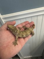 IMG_0827.jpeg