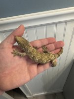IMG_0828.jpeg