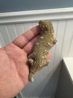 IMG_0796.jpeg