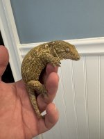 IMG_0879.jpeg