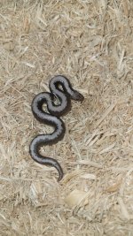 thumbnail (9).jpg