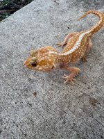 IMG_3534.jpg