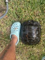 IMG_7588.jpeg