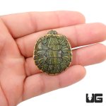 ug_baby_pastel_red_ear_slider_turtle_2.jpg