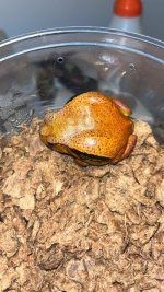 IMG_3513.jpeg