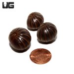 ug_giant_gun_metal_pill_millipede_4.jpg