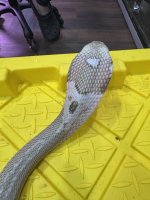 IMG_6728.jpeg