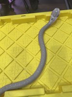IMG_6729.jpeg