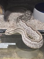 IMG_6723.jpeg