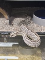 IMG_6722.jpeg