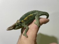 IMG_8321.jpeg