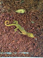 IMG_0670.jpeg