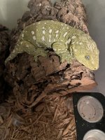 IMG_0703.jpeg