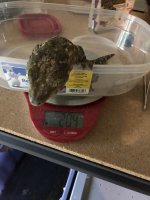 IMG_0973.jpeg