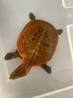 IMG_7566.jpeg