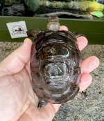 IMG_1460.jpeg