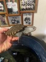 IMG_5519.jpeg