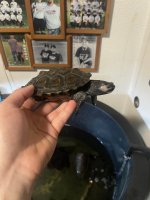 IMG_5517.jpeg