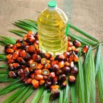 Palm Oil For Sale.jpeg