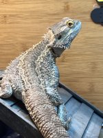 IMG_0154.jpeg