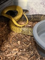 IMG_0195.jpeg