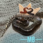 IMG_2513.jpeg