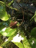 IMG_5093.jpeg